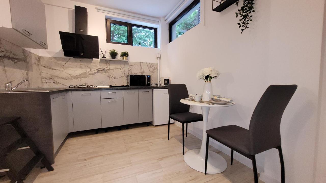 Luxury Mansion Daire Bükreş Dış mekan fotoğraf